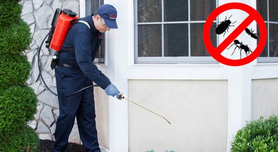 Mut Tahtakurusu İlaçlama böcek ilaçlama ve haşere kontrolü — ilaclama-tr.com